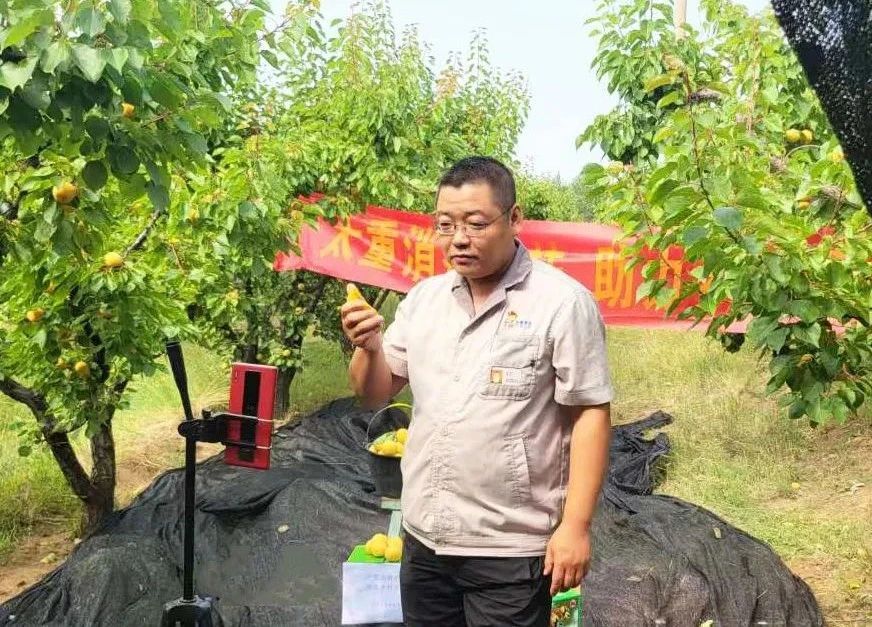 雷火·竞技(中国)-全球当先的电较量事平台